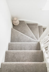 professionally cleaned carpets