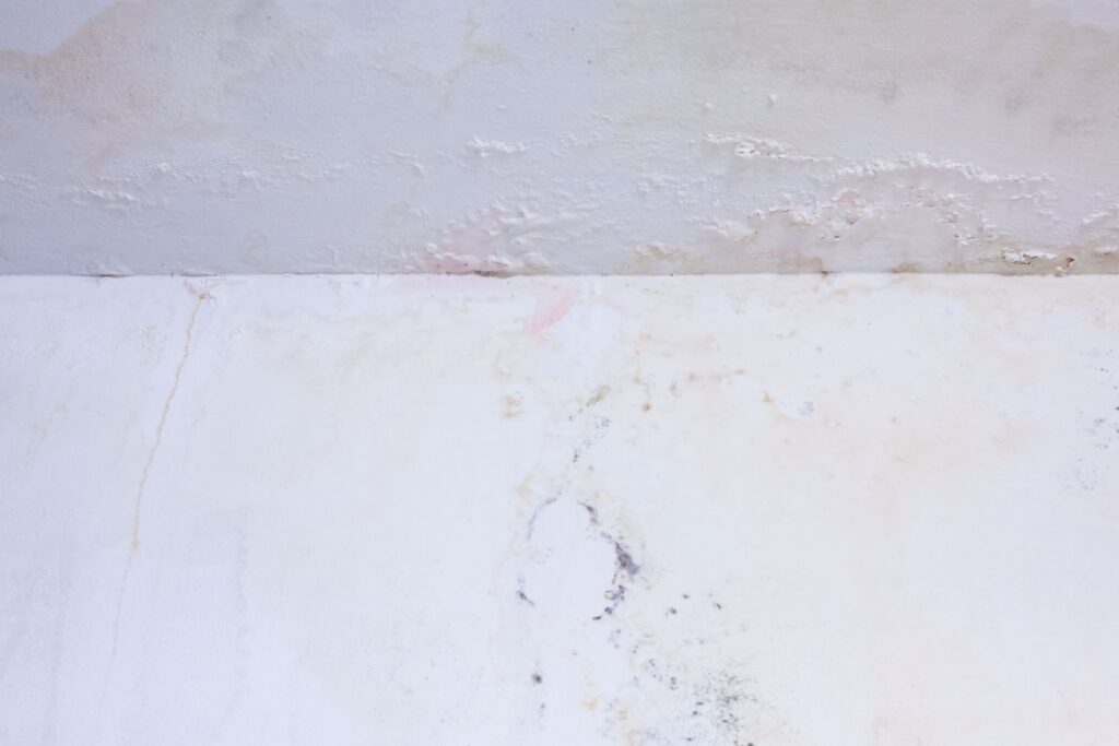 drywall that has been damaged from water or flood