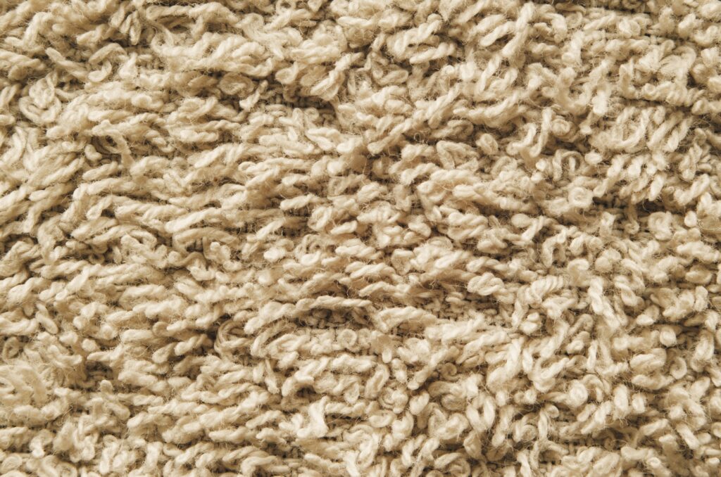 soft, fluffy carpet for high traffic areas