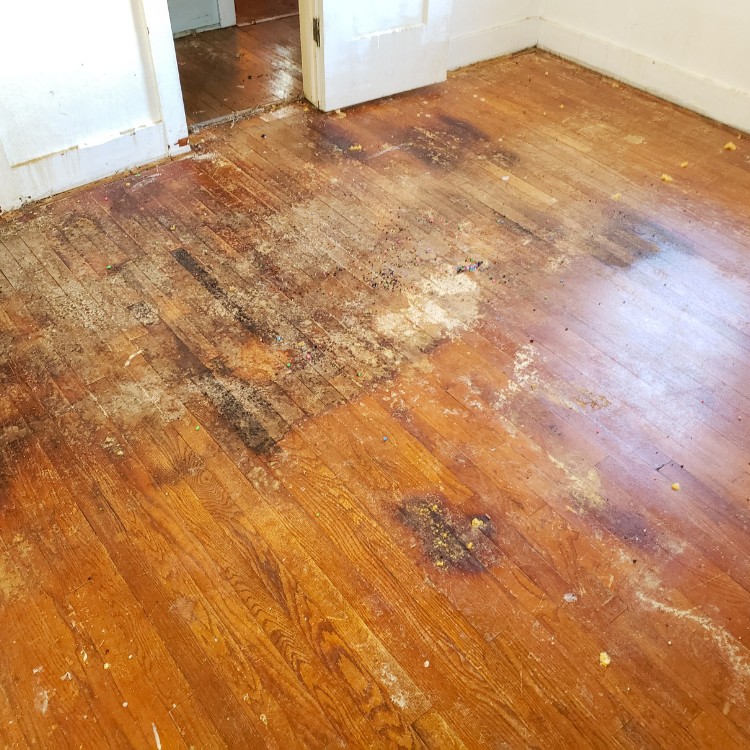 Carpet Cleaning and Restoration in Hurst, TX