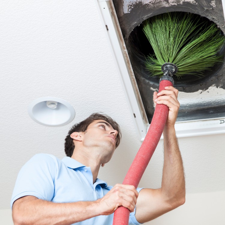 Carpet Cleaning and Restoration in Hurst, TX