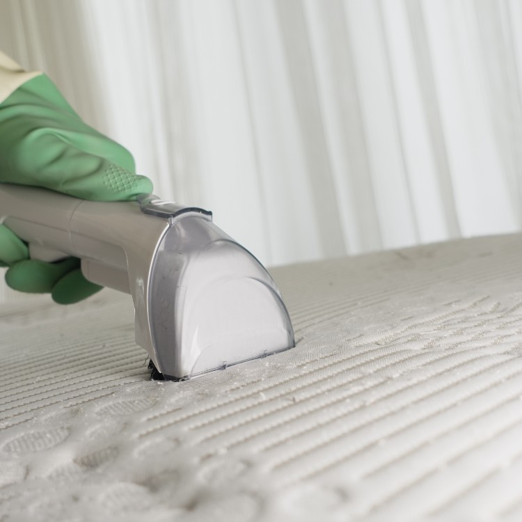 Carpet Cleaning and Restoration in Hurst, TX