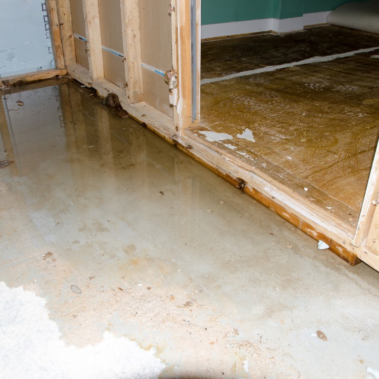 Carpet Cleaning and Restoration in Hurst, TX