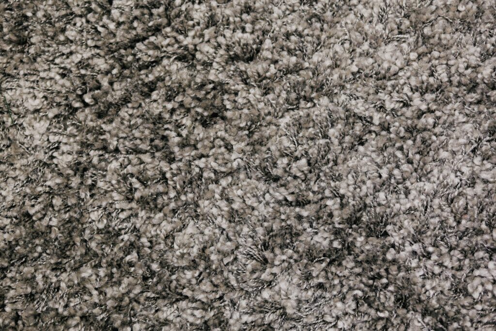 Best Carpets for High Traffic Areas 2