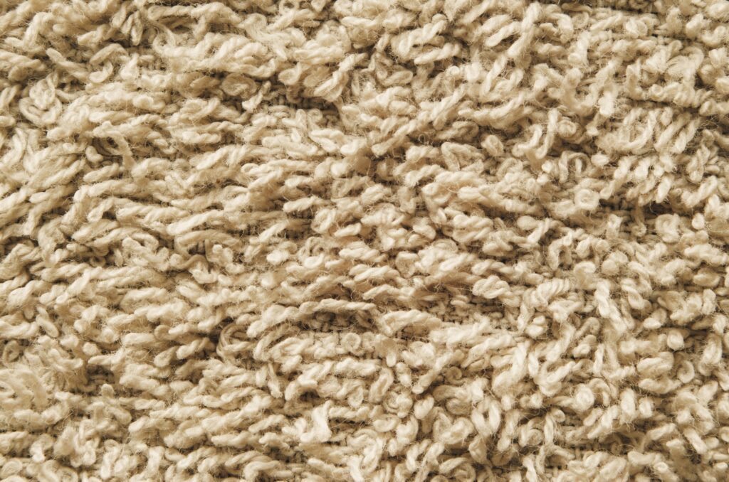 Best Carpets for High Traffic Areas 1