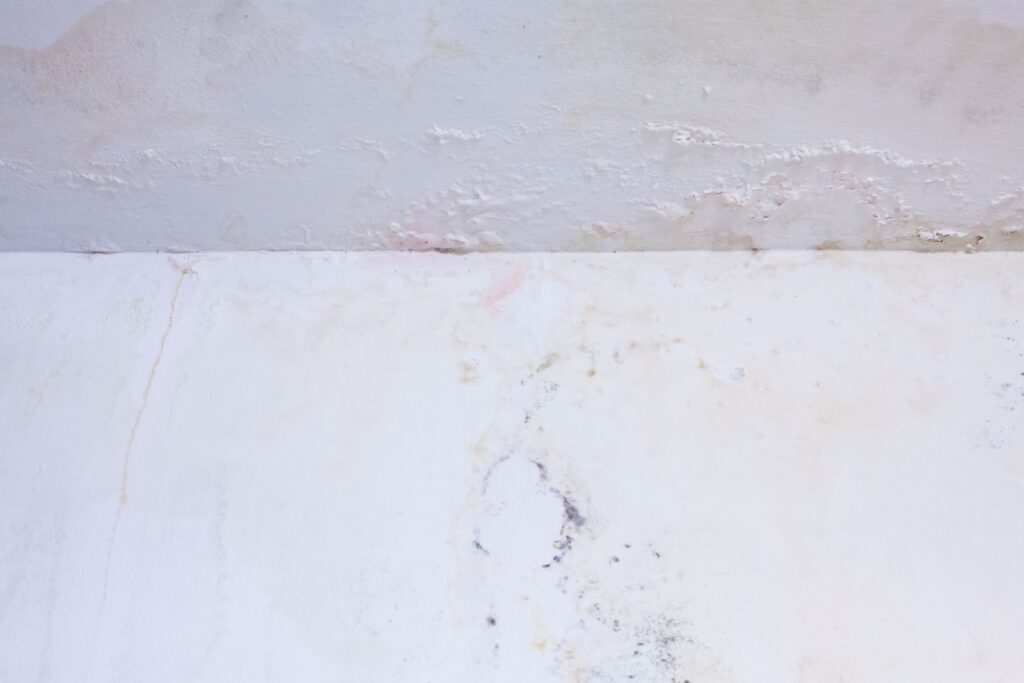 What Happens If Drywall Gets Wet 1